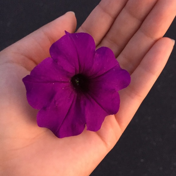 Meet your Posher, Maria - Picture 1 of 1